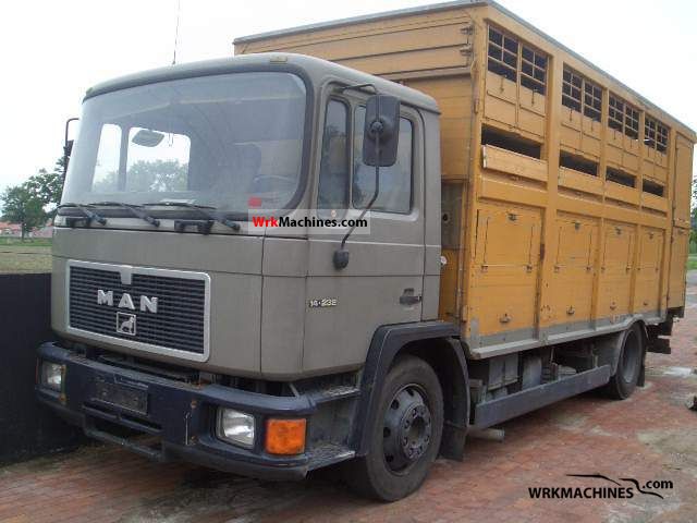 1993 MAN M 90 14.232 Truck over 7.5t Horses photo